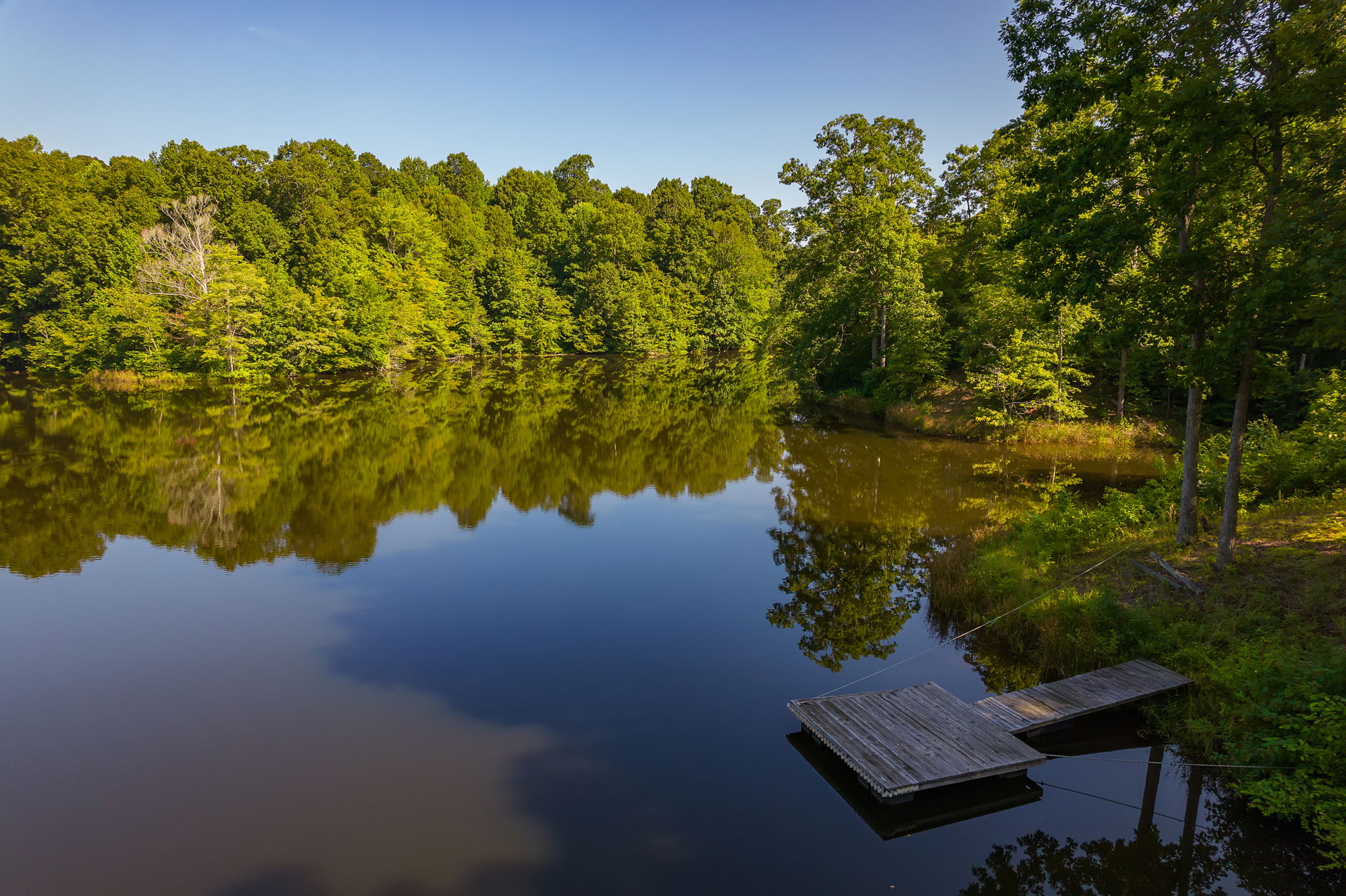 Waterfront acreage at 547 Willoughby Road in Beech Bluff Tennessee featuring a private pond and wooded surroundings