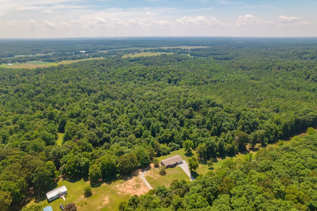 Country home on 83 acres in Beech Bluff Tennessee surrounded by wooded land and open space near Jackson TN